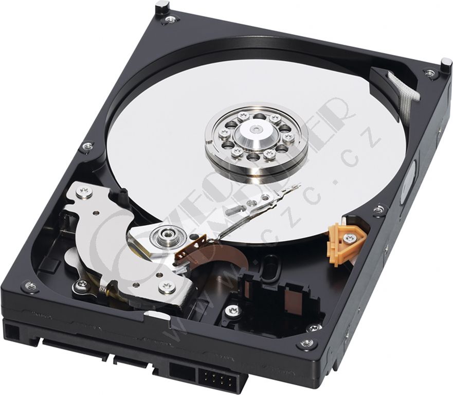 WD Caviar Blue KX - 250GB