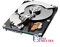 Samsung SpinPoint T HD501LJ - 500GB SATA II